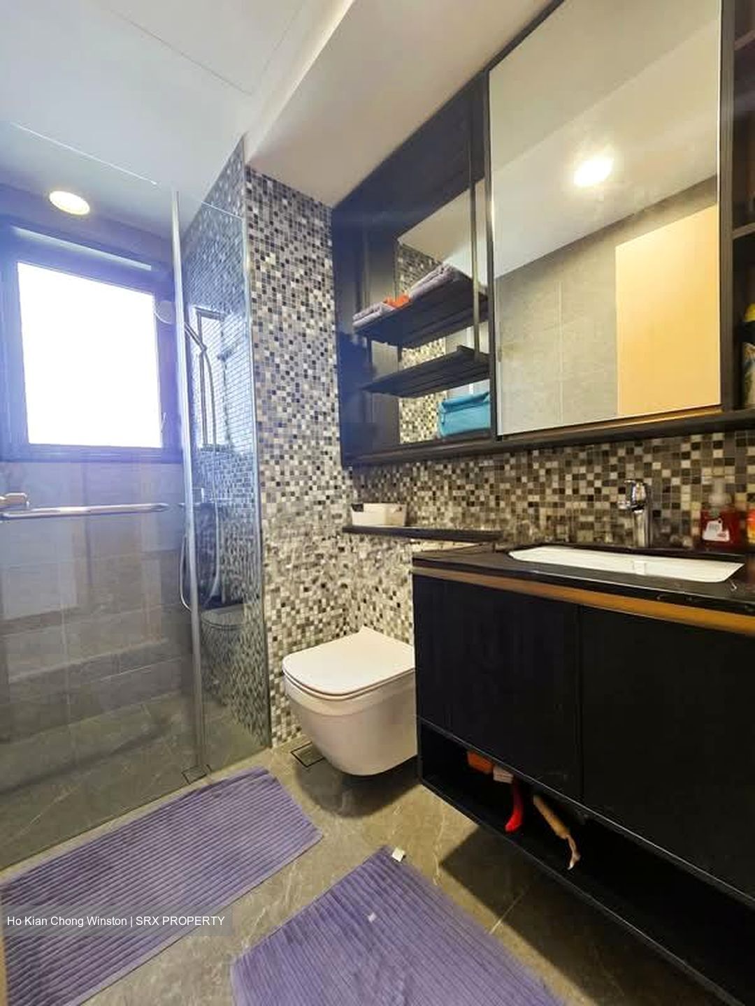The Antares (D14), Apartment #531408141